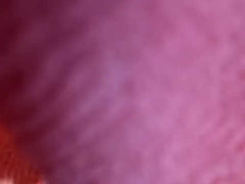 Amarok39 online show from October 18, 2025, 7:49 pm