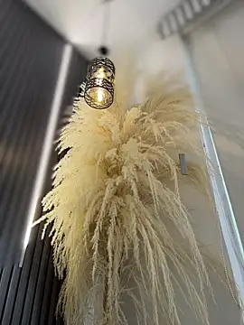 Snapshot of Rose-euphoria chatting on February 13, 2026, 9:04 pm Rose-euphoria online show from February 13, 2026, 9:04 pm