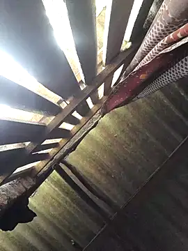 Snapshot of HotSexyBoudi chatting on September 28, 2025, 9:16 am HotSexyBoudi online show from September 28, 2025, 9:16 am