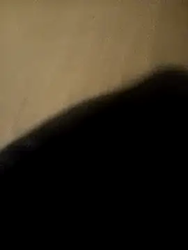 ySqmbVanbe online show from November 29, 2025, 4:56 am