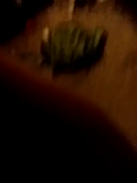 ySqmbVanbe online show from February 16, 2026, 1:37 am