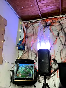 Snapshot of sweet_kamil chatting on October 31, 2025, 3:03 am sweet kamil online show from October 31, 2025, 3:03 am