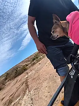 FloppyPickle4u online show from February 12, 2026, 5:56 pm