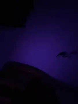 Snapshot of Micky__love chatting on October 12, 2025, 12:56 am Micky love online show from October 12, 2025, 12:56 am