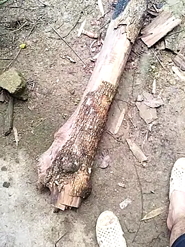 Snapshot of idocudai chatting on February 23, 2026, 3:19 am idocudai online show from February 23, 2026, 3:19 am