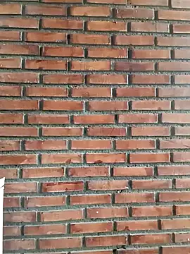 -Anny online show from November 18, 2025, 2:42 pm