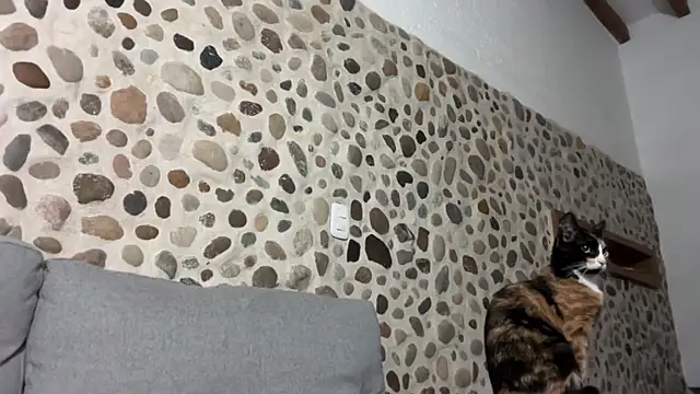 David Brown18 online show from October 1, 2025, 3:44 am