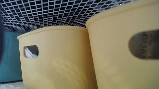 Snapshot of lovense_test04 chatting on February 27, 2026, 7:30 am lovense test04 online show from February 27, 2026, 7:30 am