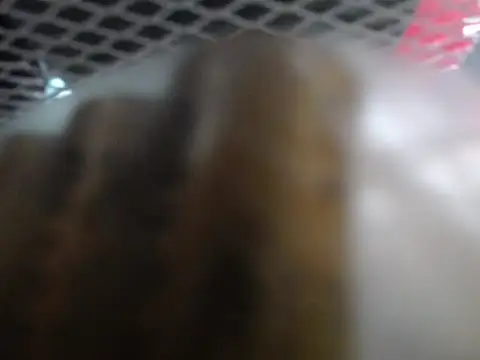 Snapshot of lovense_test04 chatting on January 7, 2026, 2:05 am lovense test04 online show from January 7, 2026, 2:05 am