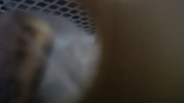 Snapshot of lovense_test04 chatting on January 19, 2026, 10:30 am lovense test04 online show from January 19, 2026, 10:30 am