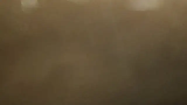 Alphapimmelchen online show from February 21, 2025, 4:05 pm