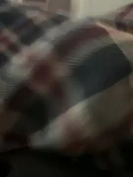 RowdyAlfie233 online show from February 6, 2025, 6:18 am