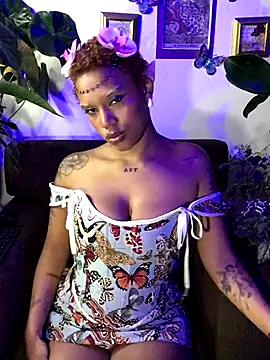 Snapshot of haiiley_more chatting on November 1, 2025, 5:03 am haiiley more online show from November 1, 2025, 5:03 am