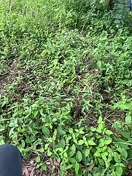 Snapshot of Miss__Malaika chatting on October 5, 2025, 5:31 am Miss Malaika online show from October 5, 2025, 5:31 am