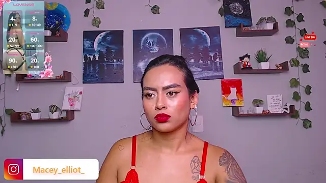 macey elliot  online show from February 14, 2025, 3:05 pm