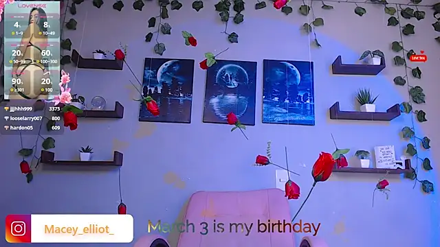 macey elliot  online show from February 26, 2025, 9:53 pm