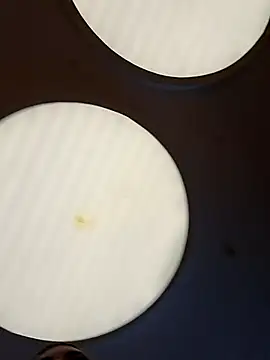 CanelitaPasion online show from February 11, 2026, 8:09 pm