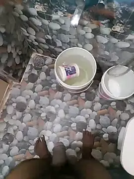 telugumoddahyd online show from October 21, 2025, 7:52 am