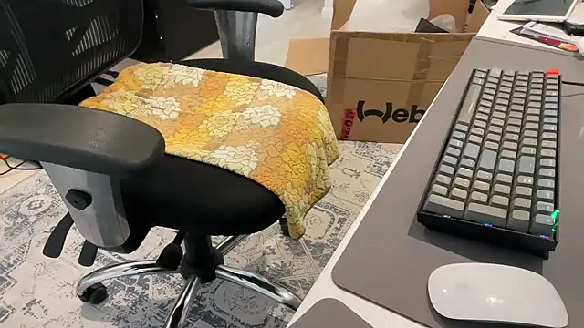 ProstatePleasures1 online show from December 9, 2024, 1:40 am