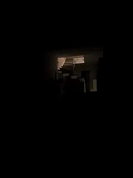 Snapshot of RIP_Curl chatting on November 28, 2025, 7:19 am RIP Curl online show from November 28, 2025, 7:19 am