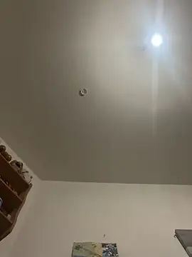 branleurbidu90 online show from February 14, 2026, 4:51 pm