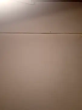 Snapshot of AmazonianMistress chatting on September 21, 2025, 2:00 pm AmazonianMistress online show from September 21, 2025, 2:00 pm