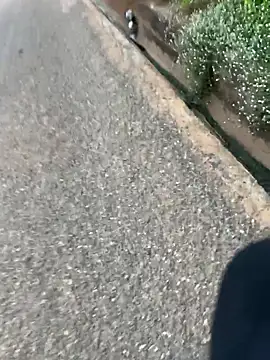 Black-mamba-madingo online show from April 16, 2026, 6:14 am