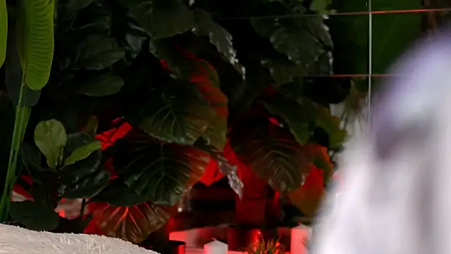 KellyMathews online show from April 10, 2026, 1:56 am