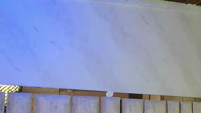 barbara cambels online show from January 13, 2026, 7:18 pm