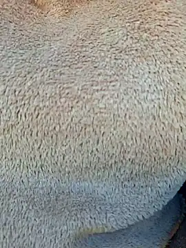 Snapshot of Priya_Bong chatting on January 15, 2026, 4:05 am Priya Bong online show from January 15, 2026, 4:05 am