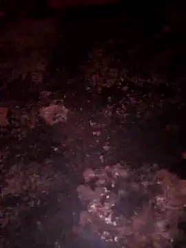 Snapshot of Priya_Bong chatting on December 20, 2025, 11:51 pm Priya Bong online show from December 20, 2025, 11:51 pm