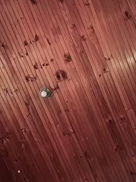 Snapshot of Milena-1 chatting on March 7, 2025, 8:56 am Milena-1 online show from March 7, 2025, 8:56 am