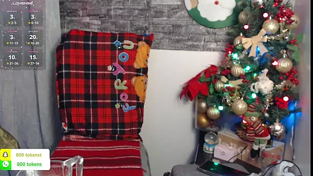 YourDreamLoverr online show from December 20, 2024, 11:58 pm
