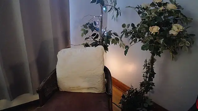 Snapshot of CanadianBeaver6969 chatting on January 14, 2025, 2:22 pm CanadianBeaver6969 online show from January 14, 2025, 2:22 pm