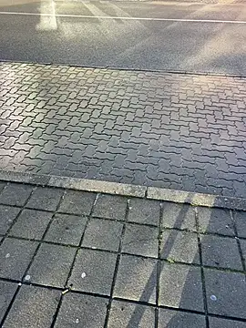 dalton453 online show from December 23, 2025, 8:57 am