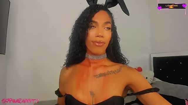 Snapshot of turabbitxx chatting on October 31, 2025, 4:53 am turabbitxx online show from October 31, 2025, 4:53 am