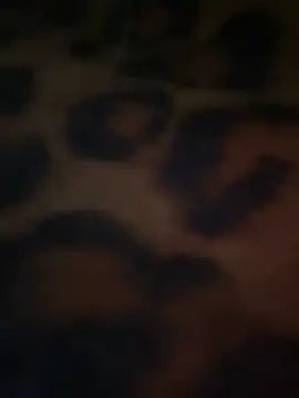 DarianaGuzz online show from May 4, 2026, 5:22 am