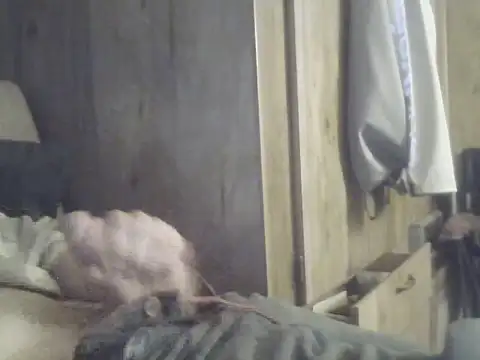 Irishman9077 online show from September 25, 2025, 4:18 am