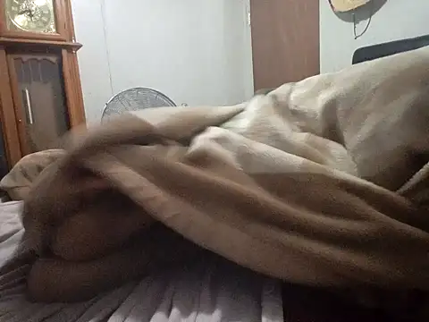 Xoc8  online show from February 14, 2026, 9:31 am