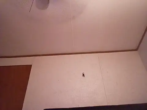 Xoc8  online show from October 2, 2025, 7:17 pm