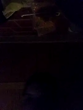 Elvergon3456 online show from October 28, 2025, 4:57 am