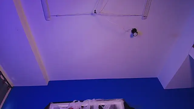 liccy hall online show from October 29, 2025, 11:42 am