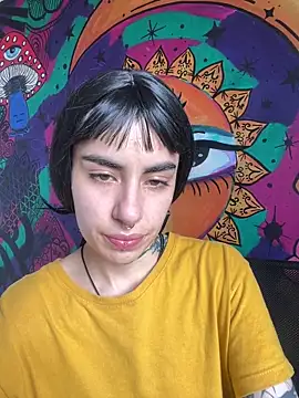  Artemisa X online show from November 29, 2025, 5:24 pm