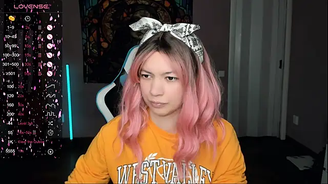 Project hisoka online show from November 14, 2025, 11:25 am