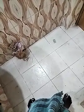 Snapshot of bas1cooks chatting on September 30, 2025, 3:23 am bas1cooks online show from September 30, 2025, 3:23 am