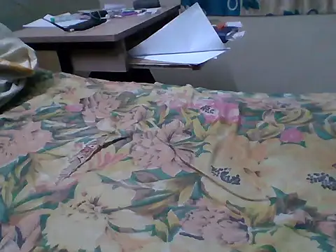 Snapshot of bas1cooks chatting on September 27, 2025, 5:08 pm bas1cooks online show from September 27, 2025, 5:08 pm