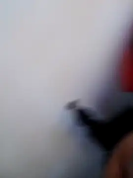 Chatlitos4879 online show from February 28, 2026, 8:08 pm