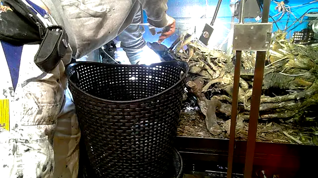 Snapshot of 0815lukas2024 chatting on October 7, 2025, 9:27 pm 0815lukas2024 online show from October 7, 2025, 9:27 pm