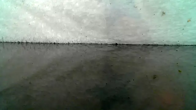 Snapshot of 0815lukas2024 chatting on October 22, 2025, 9:03 pm 0815lukas2024 online show from October 22, 2025, 9:03 pm