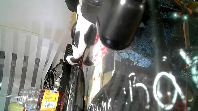 Snapshot of 0815lukas2024 chatting on September 9, 2025, 9:13 pm 0815lukas2024 online show from September 9, 2025, 9:13 pm